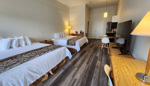 Studio Classique, plusieurs lits, coin cuisine (Pet Friendly Room)