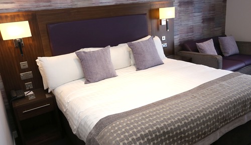 Chambre Standard, 1 très grand lit, non-fumeurs (Sofa Bed)