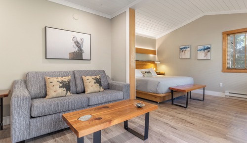 Suite, 1 très grand lit et 1 canapé-lit