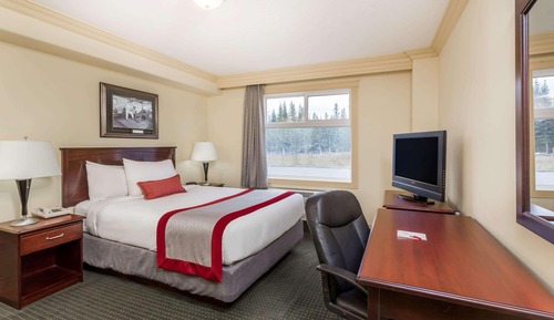 Chambre, 1 grand lit, non-fumeurs