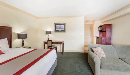 Suite, 1 très grand lit et 1 canapé-lit, non-fumeurs (One-Bedroom)