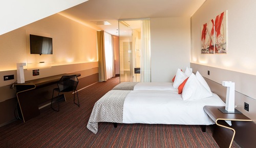 Chambre Double Confort, 1 lit double