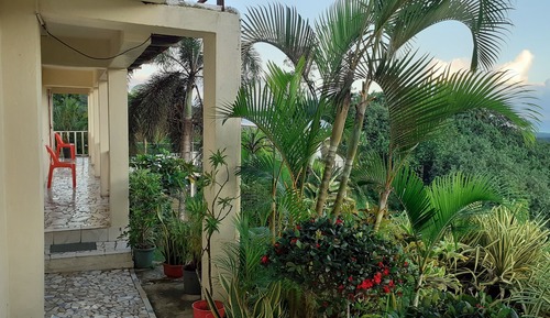 Studio Standard (Hilltop)