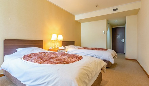 Chambre Standard avec lits jumeaux, non-fumeurs (Mountain side, Indoor Bath)