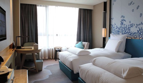 Chambre Deluxe, 2 lits une place