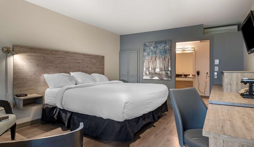 Chambre Standard, 1 très grand lit, accessible aux personnes à mobilité réduite (Walk-in Shower)