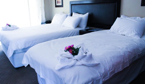 Chambre Standard avec lits jumeaux