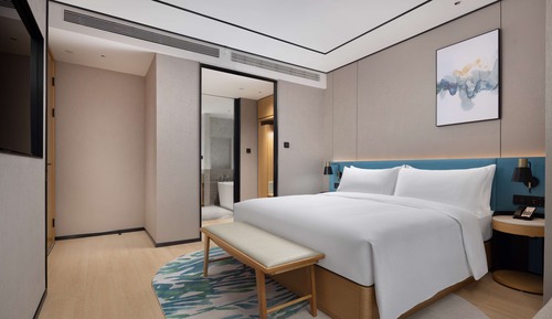Suite Deluxe, 1 très grand lit