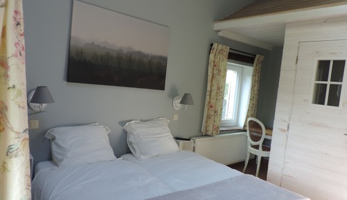 Chambre Premium avec lits jumeaux, vue jardin