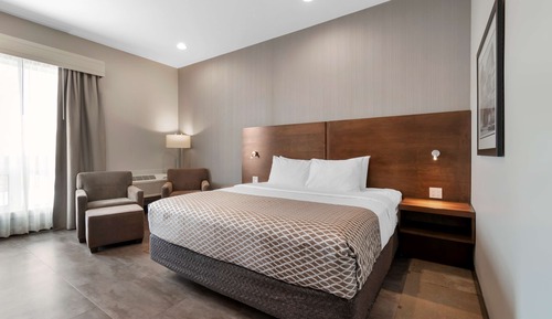 Chambre Standard, 1 très grand lit, non-fumeurs (Shower Only)