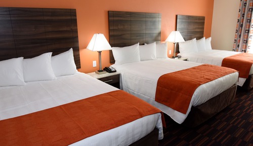 Chambre Triple Deluxe, 1 chambre, cuisine
