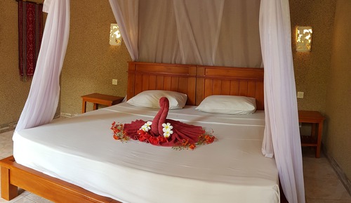 Chambre Deluxe Double ou avec lits jumeaux