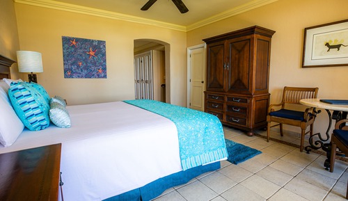 Chambre Deluxe, 1 très grand lit, vue jardin