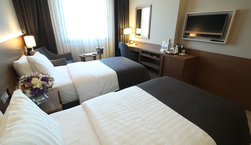 Chambre Standard, 2 lits une place, vue montagne