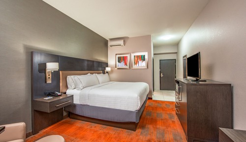 Chambre Standard, 1 très grand lit (Communications, Roll-In Shower)