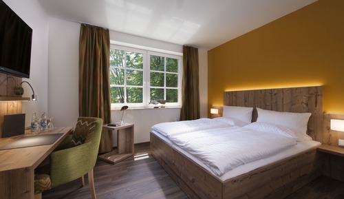 Chambre Double Standard, 1 grand lit