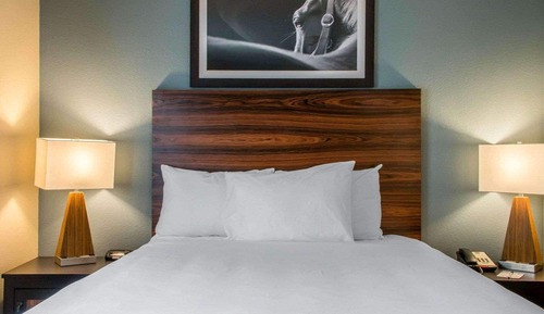 Suite, 1 grand lit et 1 canapé-lit, non-fumeurs (2 Person Sofa Bed)