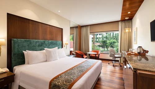 Chambre Deluxe, 1 très grand lit (Deluxe Room Double)