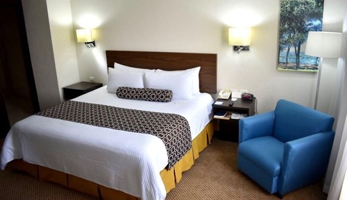 Chambre Standard, 1 très grand lit, non-fumeurs