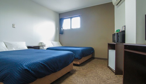 Chambre avec lits jumeaux, non-fumeurs