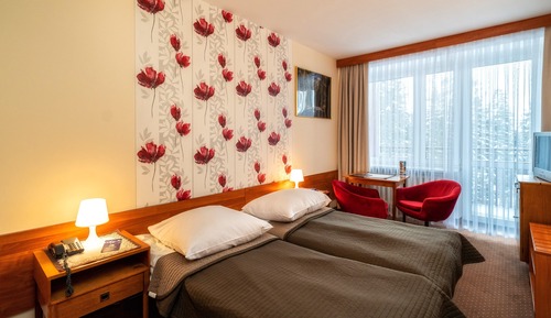 Chambre Premium avec lits jumeaux, vue montagne