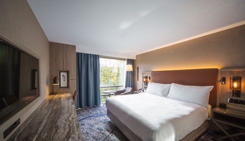 Chambre, 1 grand lit, accessible aux personnes à mobilité réduite