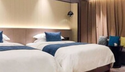 Chambre Affaires avec lits jumeaux