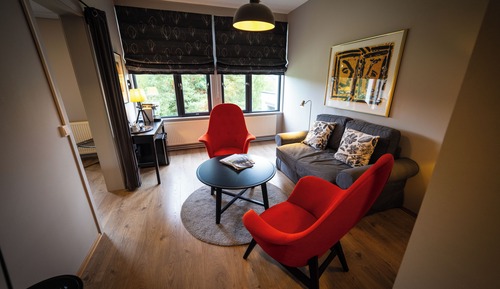 Suite Junior, 1 grand lit