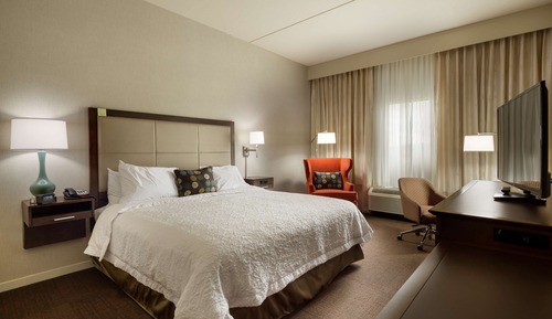 Chambre, 1 très grand lit et 1 canapé-lit, non-fumeurs, réfrigérateur et four à micro-ondes
