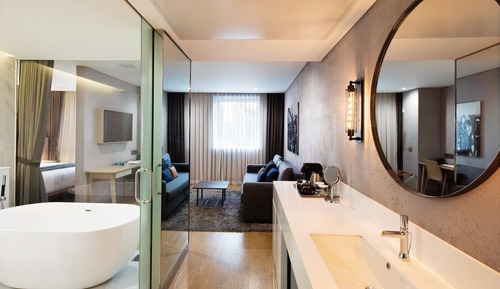 Suite, 1 très grand lit et 1 canapé-lit, en angle (Air purifier in room)