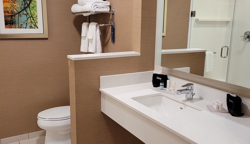 Chambre, 1 très grand lit (Mobility/Hearing Access, Roll-In Shwr)
