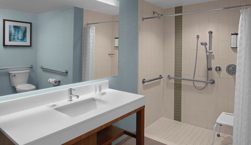 Suite, 1 très grand lit et 1 canapé-lit, accessible aux personnes à mobilité réduite (with Shower)