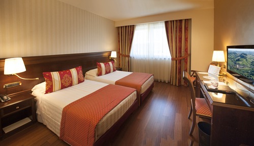 Chambre Double Classique pour 1 personne