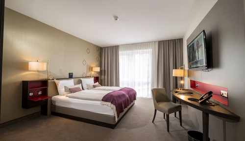 Chambre Supérieure Double ou avec lits jumeaux, hypoallergénique, vue ville
