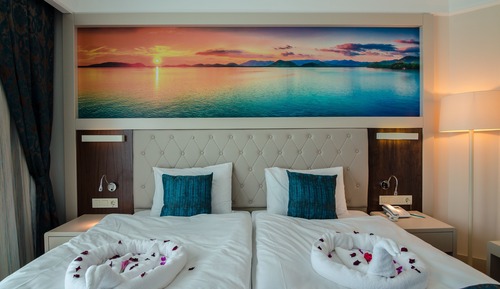 Chambre Standard, 1 chambre, vue montagne