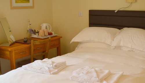 Chambre Double ou avec lits jumeaux, salle de bains attenante
