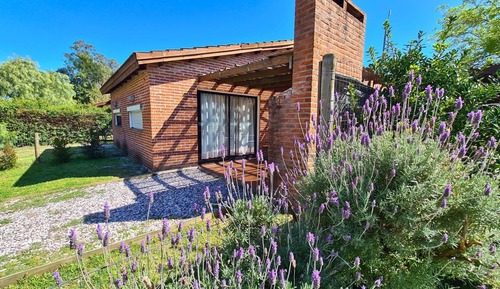Bungalow, 1 chambre