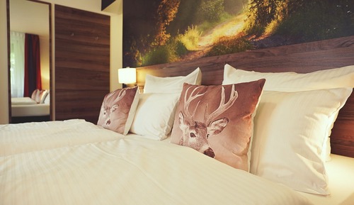Chambre Double Confort, non-fumeurs, vue montagne