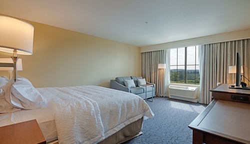 Chambre, 1 très grand lit et 1 canapé-lit, non-fumeurs, réfrigérateur