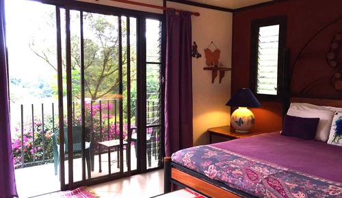 Chambre, 1 très grand lit, balcon, vue lac (Butterfly Room)