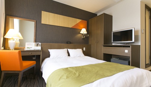 Chambre Double Affaires pour 1 personne, fumeurs