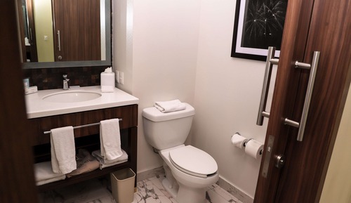 Chambre, 1 grand lit, accessible aux personnes à mobilité réduite, non-fumeurs (Roll-in Shower)