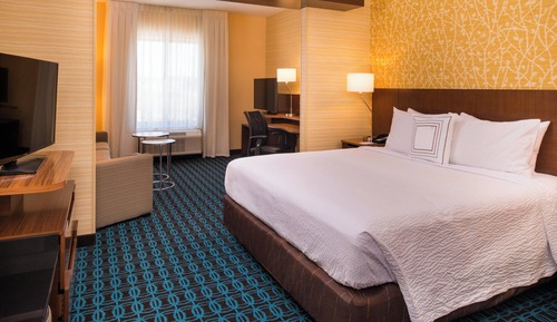 Suite, 1 très grand lit et 1 canapé-lit, non-fumeurs (Mobility Accessible, Roll-in Shower)