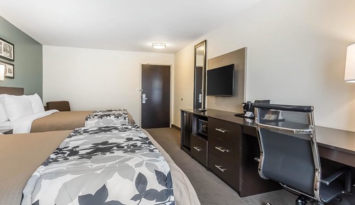 Chambre Standard, 2 grands lits, non-fumeurs
