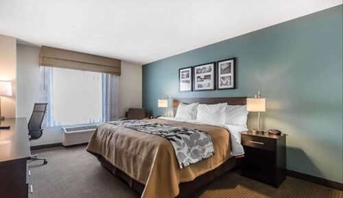 Chambre, 1 très grand lit, accessible aux personnes à mobilité réduite, non-fumeurs