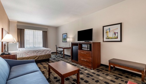 Suite, 1 très grand lit, non-fumeurs, réfrigérateur et four à micro-ondes (with Sofabed)