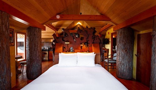 Suite Premium, 1 grand lit