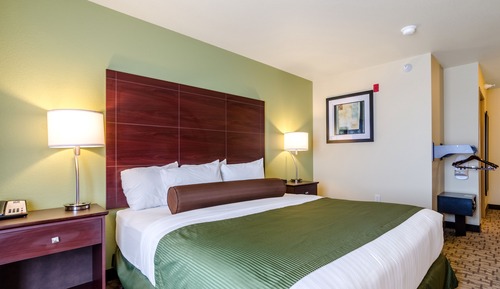 Chambre, 1 très grand lit, accessible aux personnes à mobilité réduite, non-fumeurs