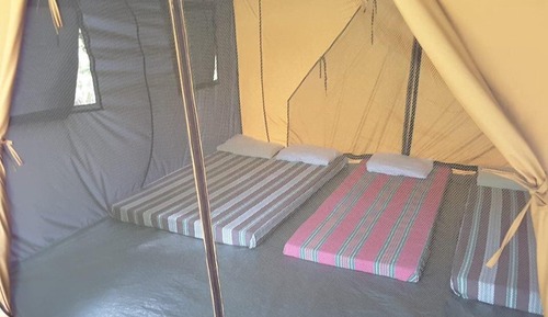 Tente, 6 chambres, vue fleuve