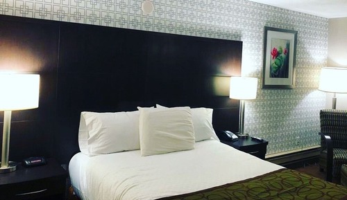 Chambre Standard, 1 très grand lit